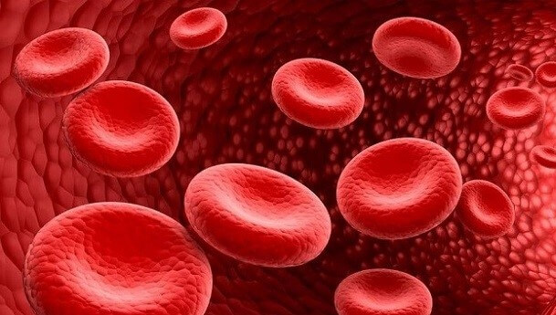 Що впливає на рівень гемоглобіну і чому це важливо для донора? Що впливає на рівень гемоглобіну і чому це важливо для донора?